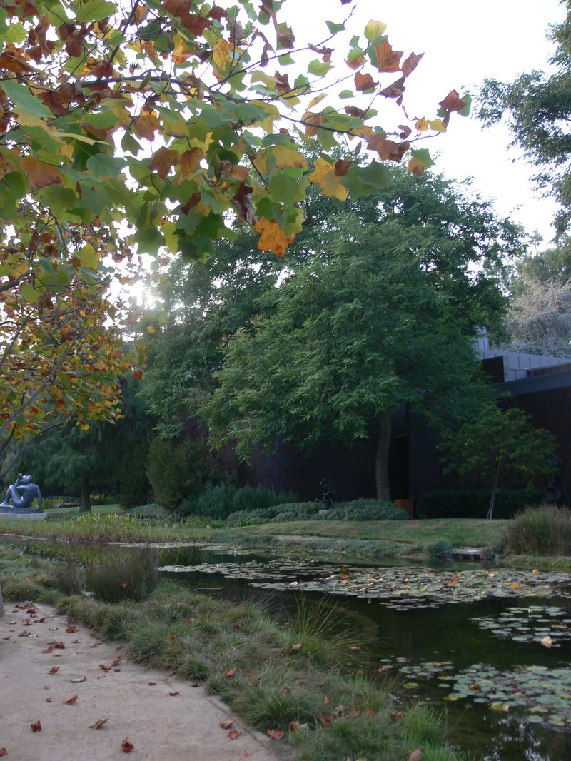 Norton Simon Museum garden and pond, Pasadena