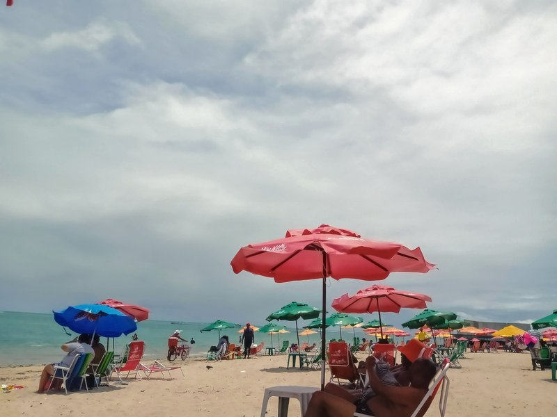 Praia de Ponta Verde beach with palm trees, Maceió