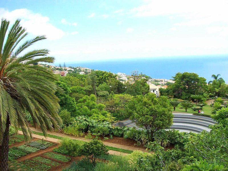 Jardim Botânico da Madeira terraced garden Funchal harbour view