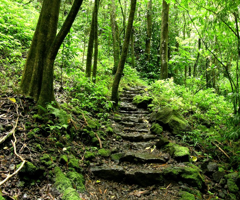 Waimoku Falls on the Pīpīwai Trail, Maui