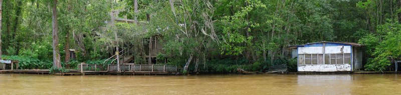 Honey Island Swamp