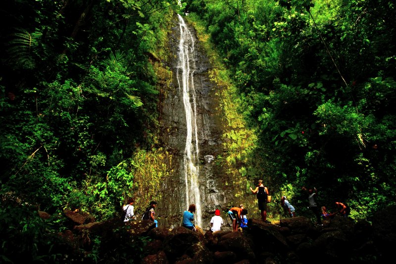 Manoa Falls · Mānoa Valley, Oahu
