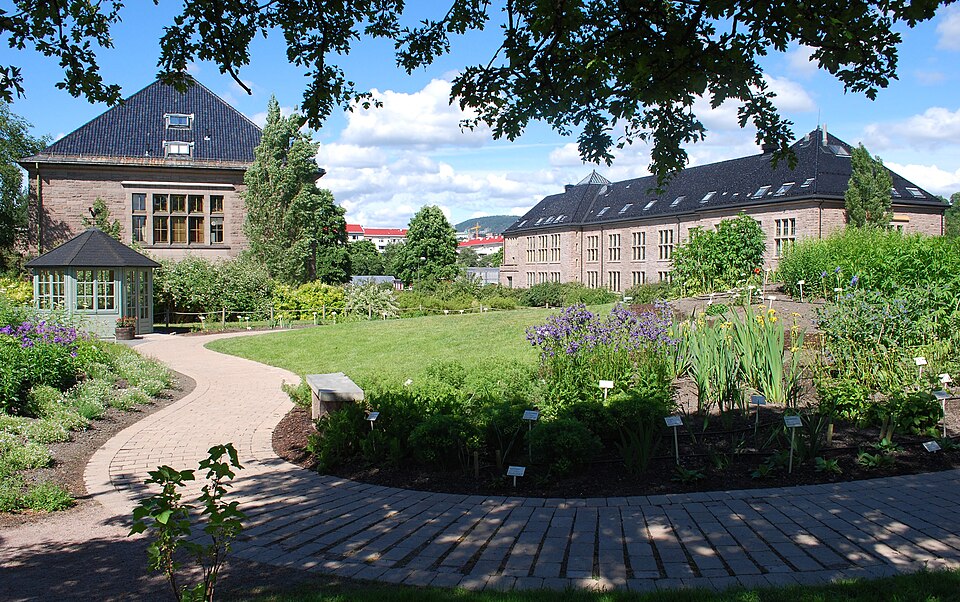 Oslo Botanical Garden summer flowers Tøyen
