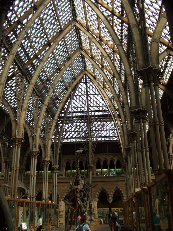 Pitt Rivers Museum