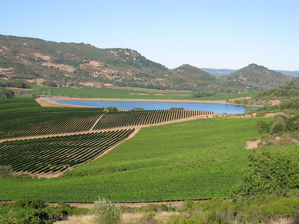 Napa Valley vineyards Atlas Peak California
