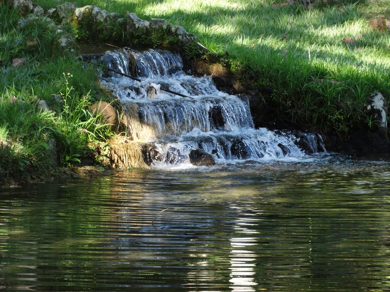 Jardim Botânico – waterfall and Atlantic Forest