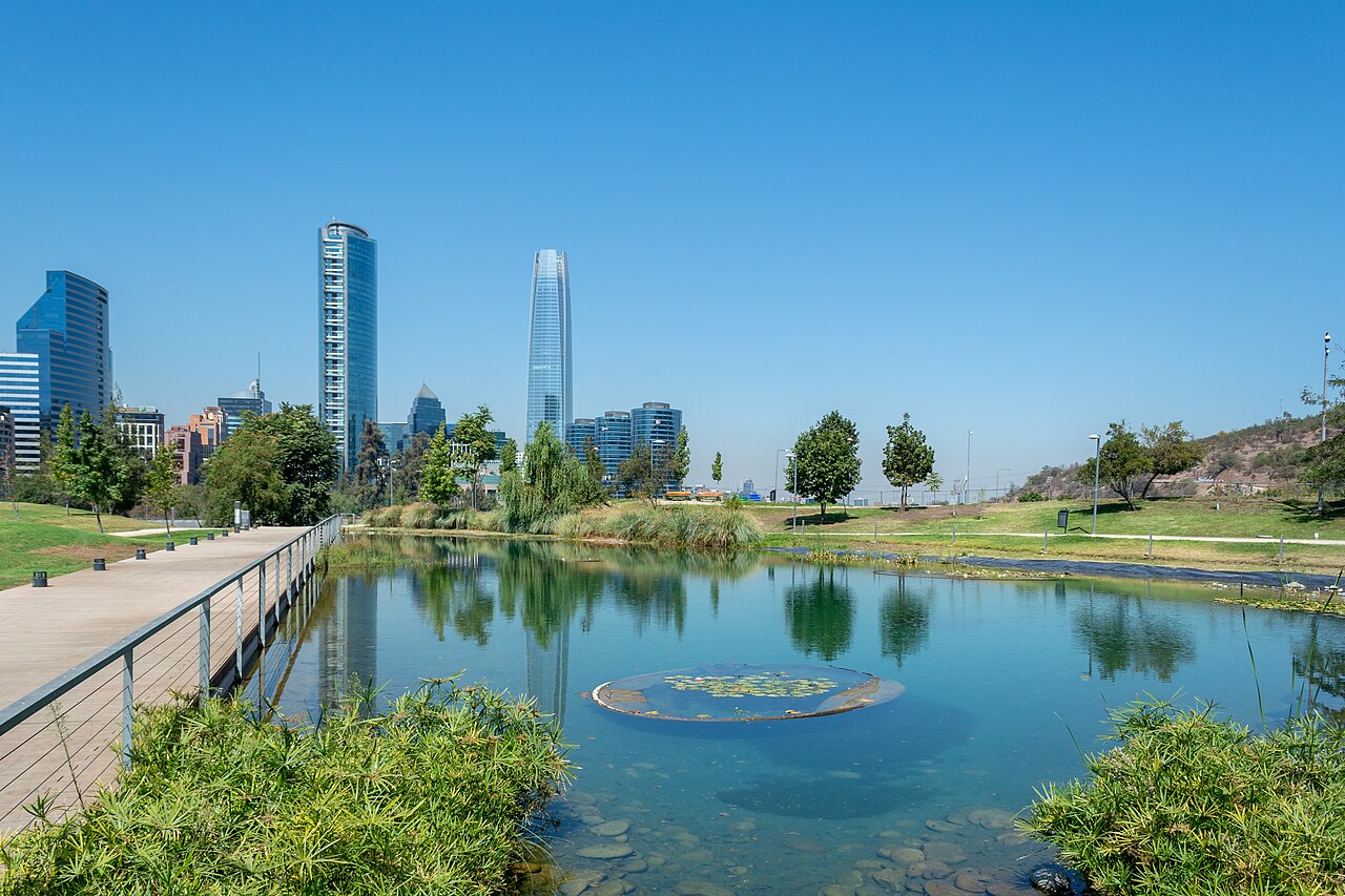 Parque Bicentenario lagoon with black-necked swans in Vitacura