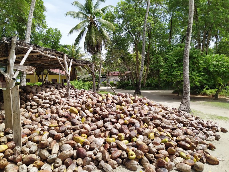 L'Union Estate La Digue