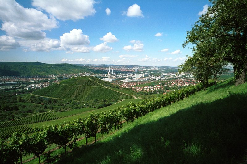 Grabkapelle Rotenberg