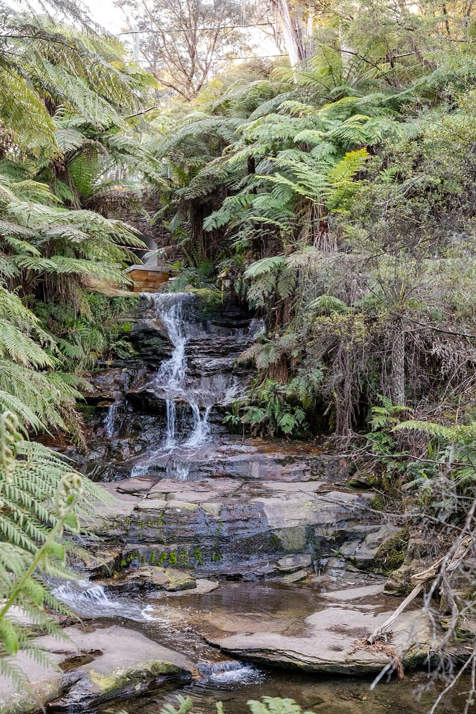 Leura Cascades, Blue Mountains