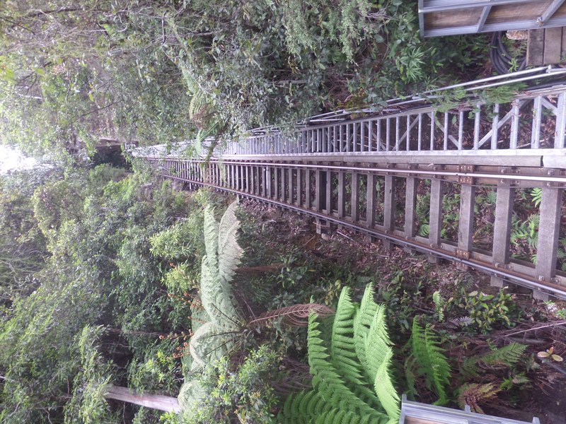 Scenic Railway descending the Jamison Valley cliff