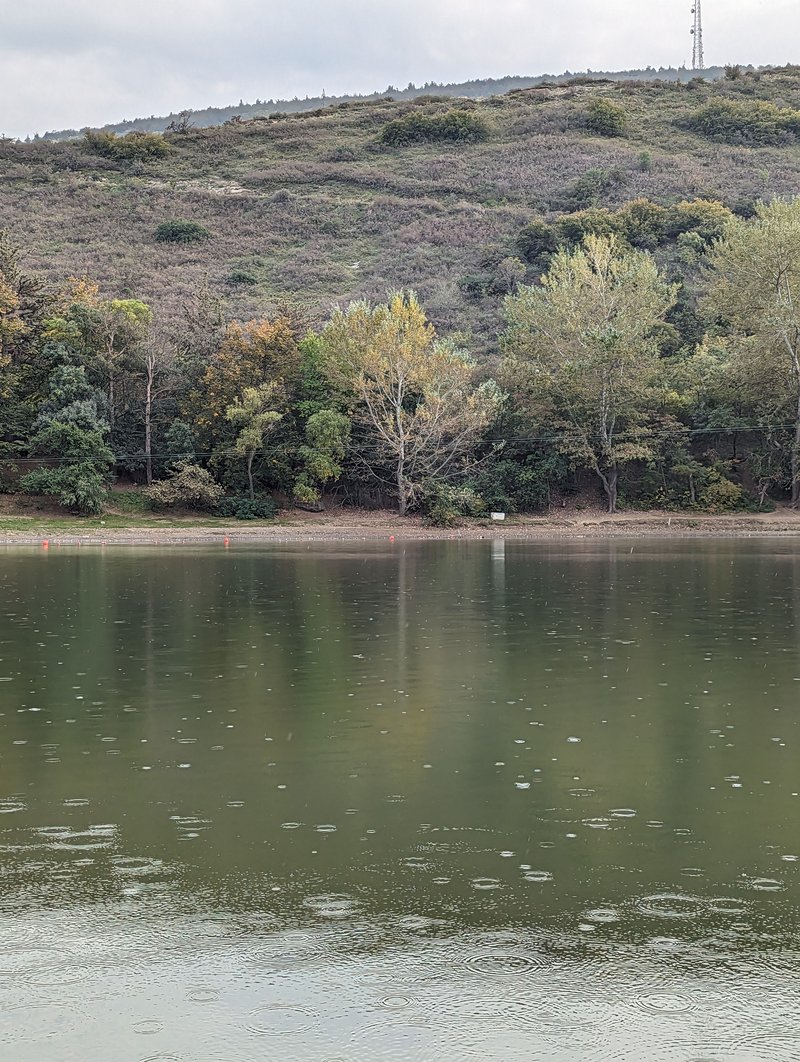 Kus Tba Turtle Lake