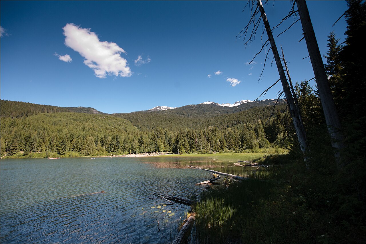 Lost Lake forested shoreline