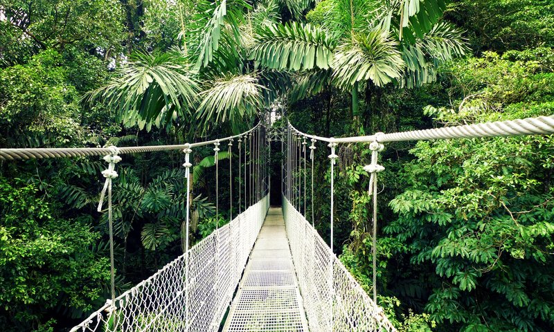 Mistico Arenal Hanging Bridges Park suspension bridges through rainforest