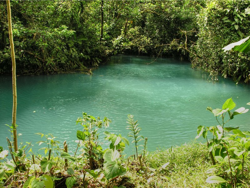 Río Celeste turquoise-blue river and waterfall at Tenorio Volcano National Park