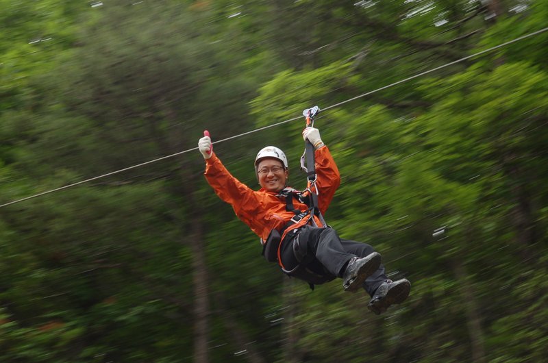 Zipline descending through rainforest canopy on an aerial adventure