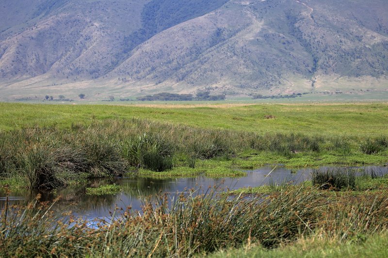 Ngorongoro Crater landscape