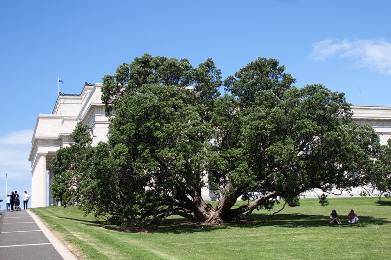 Auckland War Memorial Museum