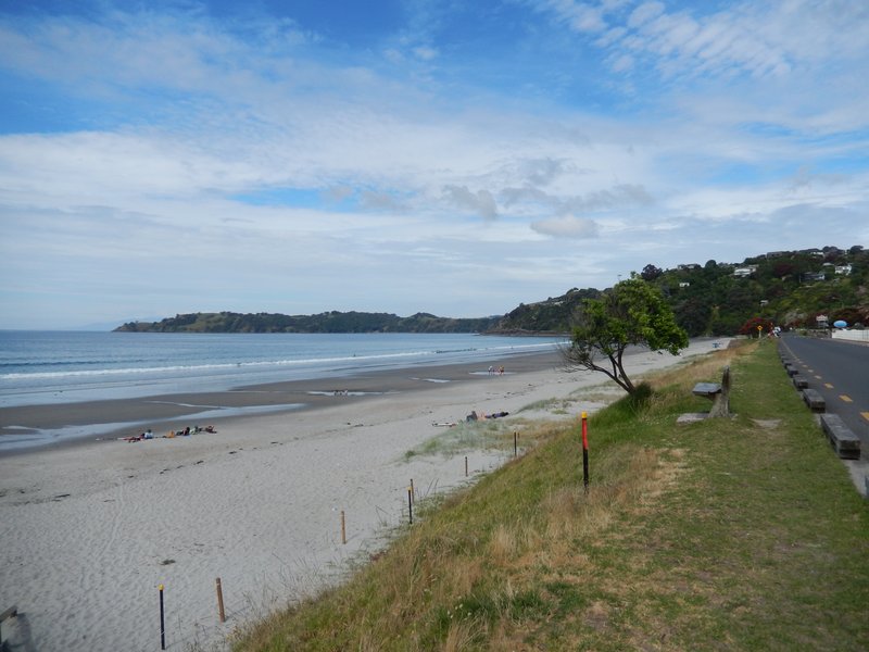 A Waiheke Island beach