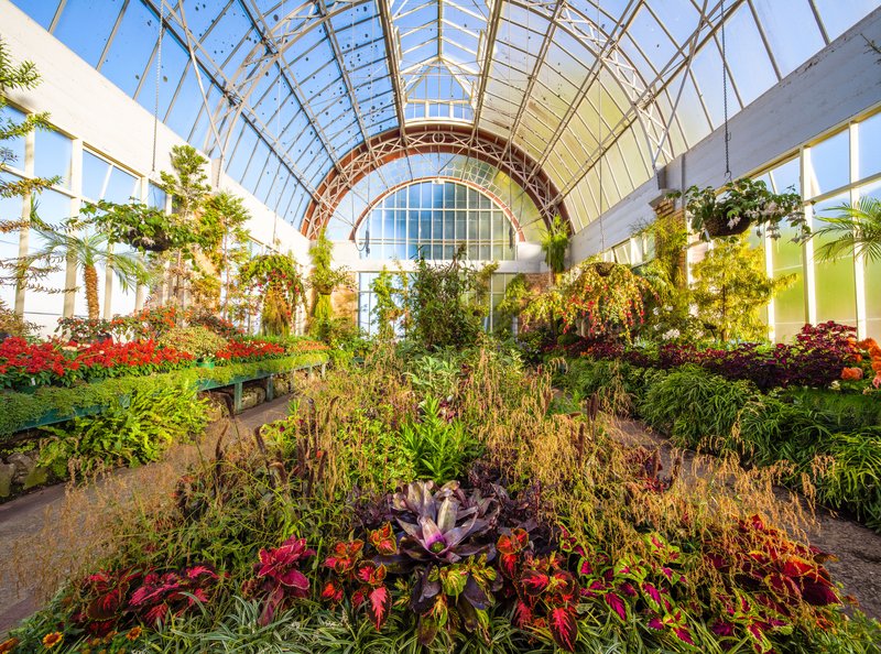 Auckland Domain Wintergardens