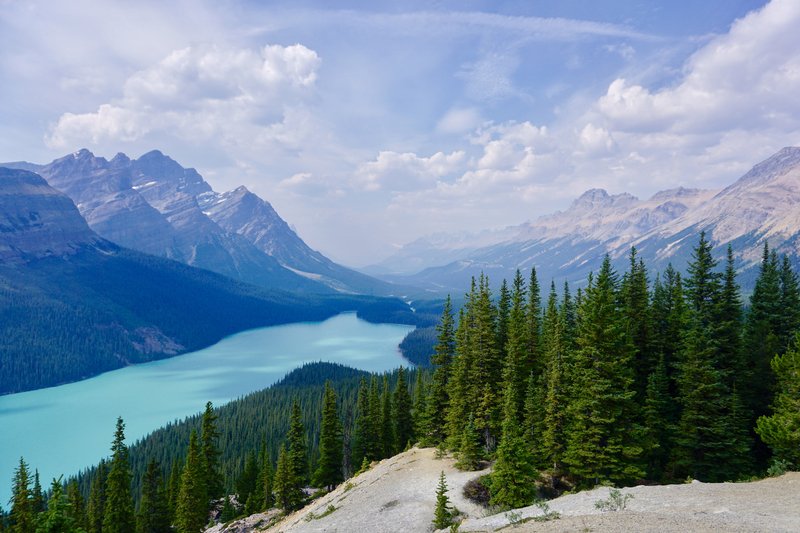Peyto Lake panorama from Bow Summit