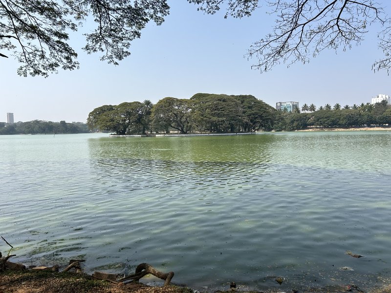 Ulsoor Lake