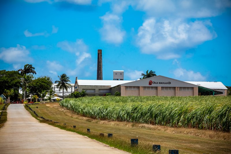Foursquare Rum Distillery, St Philip, Barbados