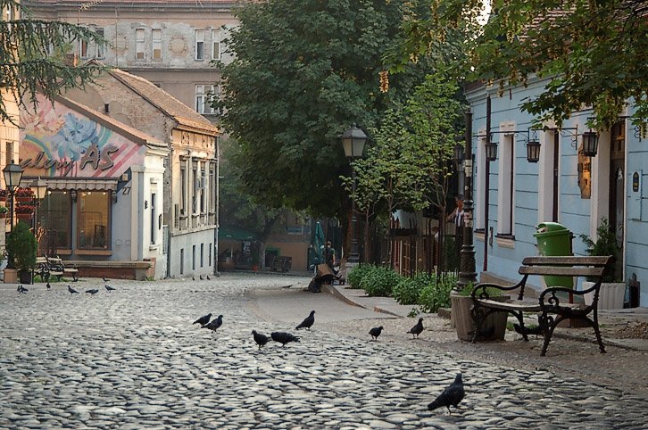 Skadarlija