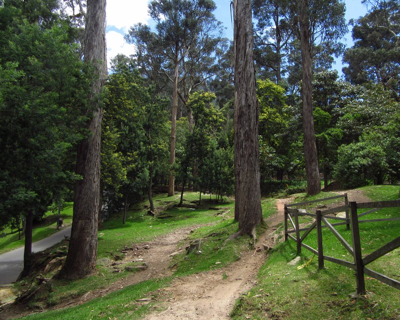 Parque Nacional Enrique Olaya Herrera