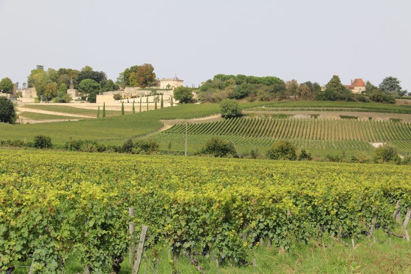 Tour du Roy, Saint-Émilion medieval village