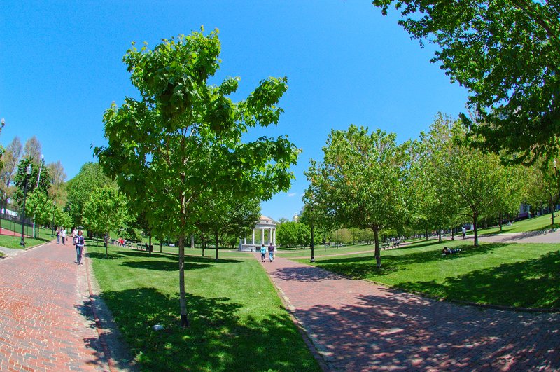 Boston Common and Public Garden green space
