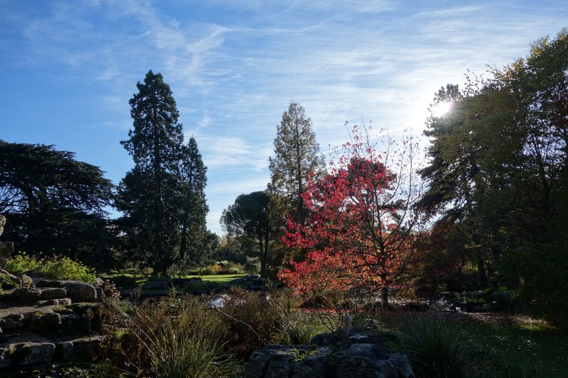 Cambridge Botanic Garden