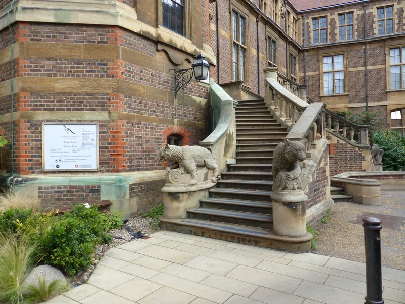 Sedgwick Museum of Earth Sciences Cambridge