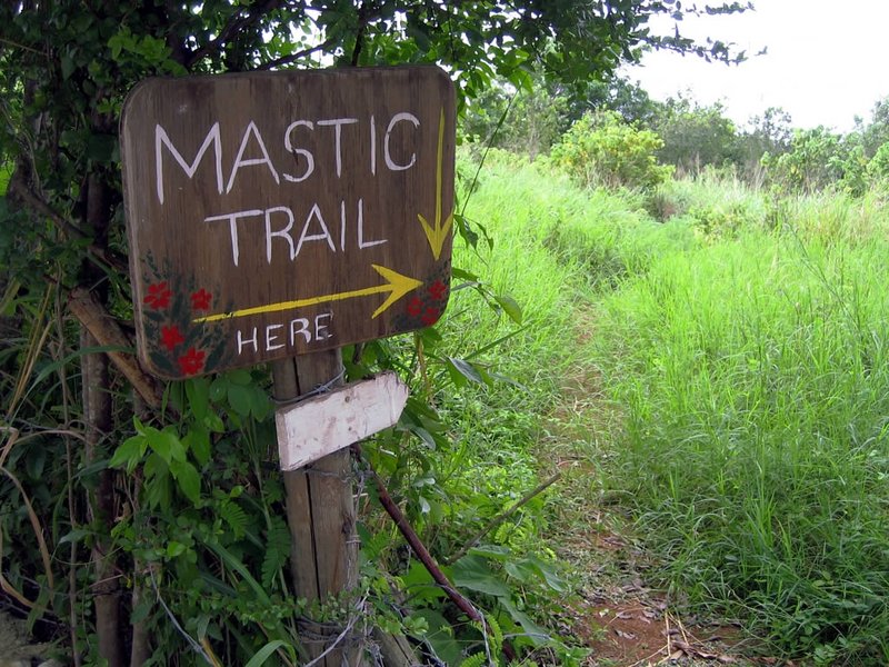 Mastic Trail, Grand Cayman