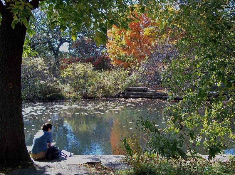 Alfred Caldwell Lily Pool, Lincoln Park, Chicago