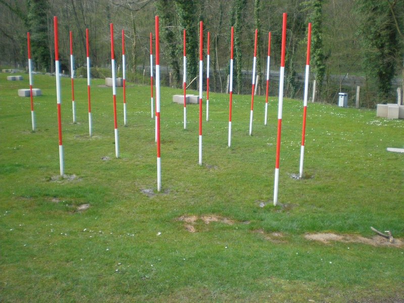 Neanderthal discovery site