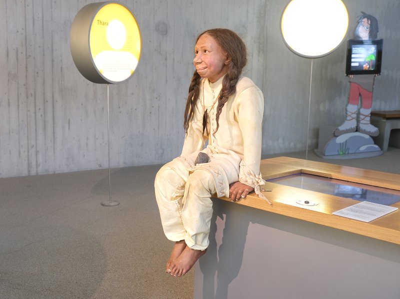 Neanderthal Museum exhibit