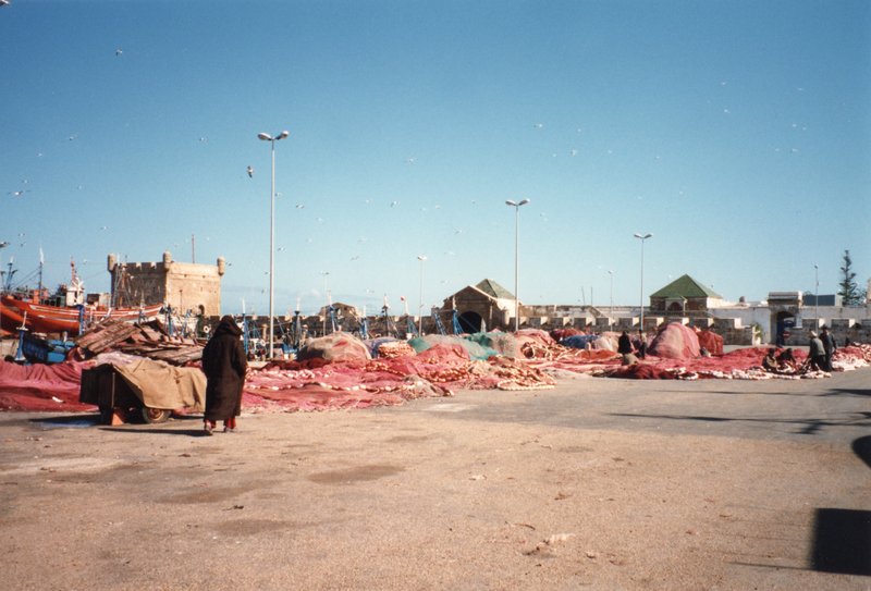 Essaouira Fishing Port