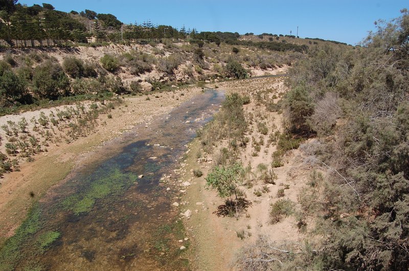 Oued Ksob Estuary