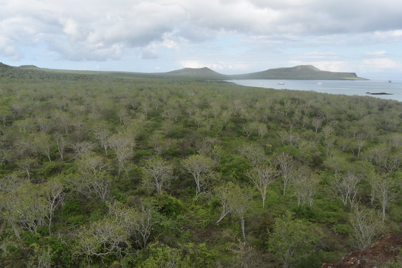 Post Office Bay, Floreana Island, Galápagos
