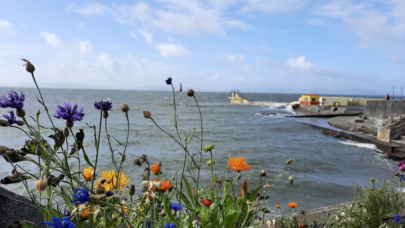 Blackrock Diving Tower