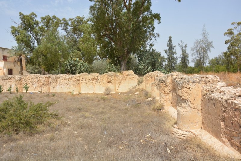 Aghlabid Basins