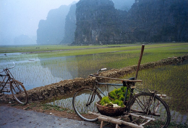 Panoramic view from Hang Mua Peak, Ninh Binh