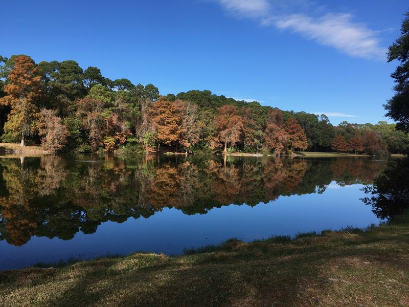 Honey Horn Plantation