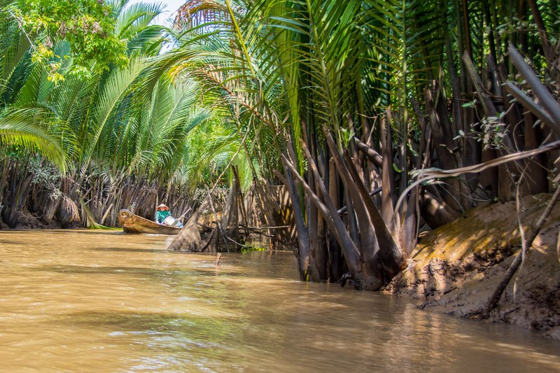 Canal on Thoi Son Island, Mekong Delta