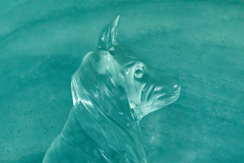 Ice Palace