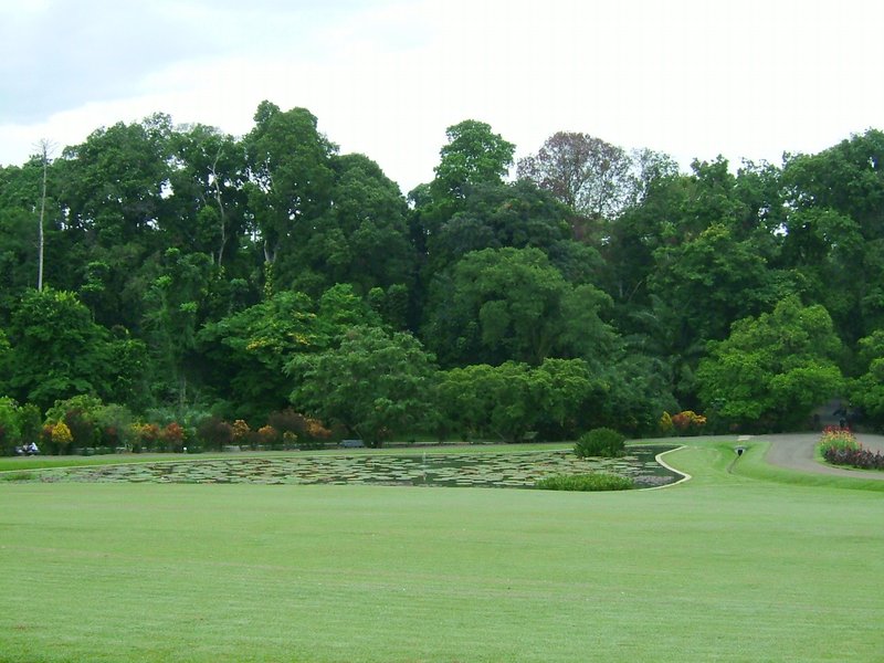 Bogor Botanical Gardens