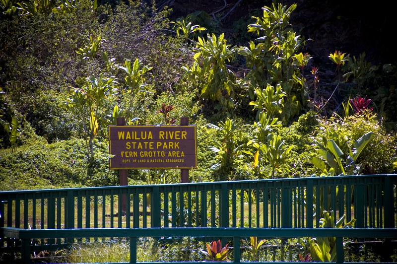 Fern Grotto lava rock amphitheatre on the Wailua River, Kauai