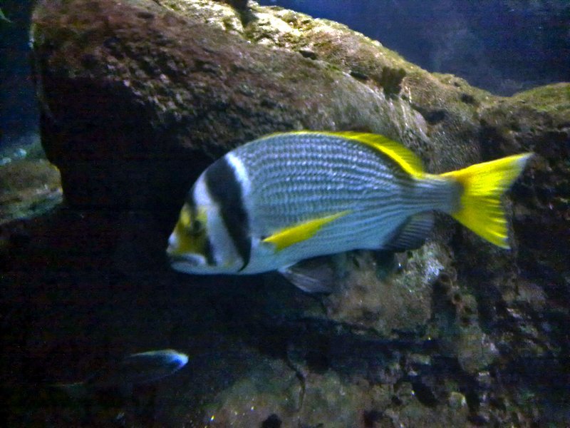 Kuwait Scientific Center Salmiya