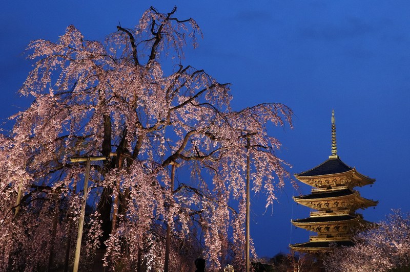 Tōji Temple, Kyoto